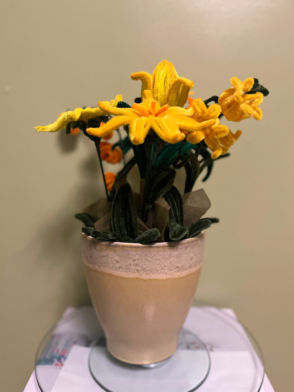 Sunny Bloom
